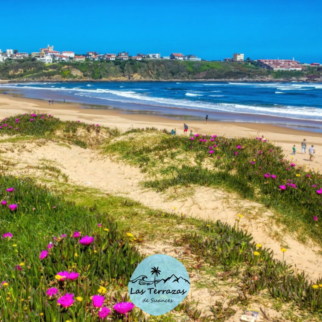 Entorno de Suances | Las terrazas de Suances